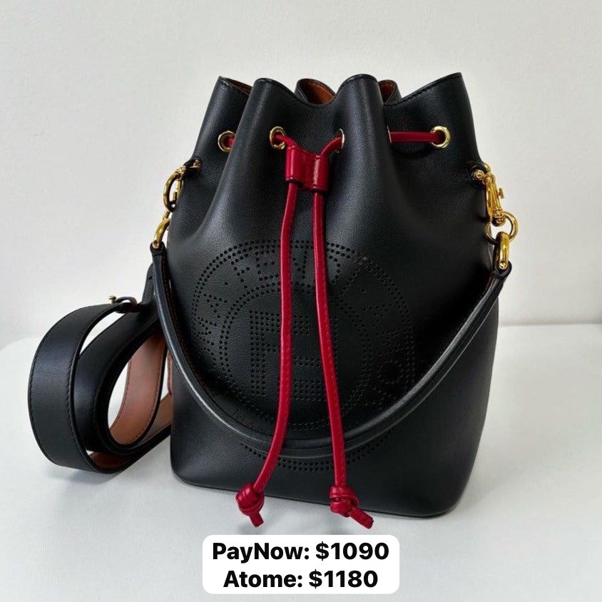 PayNow 1090 Fendi Mon Tresor Bag