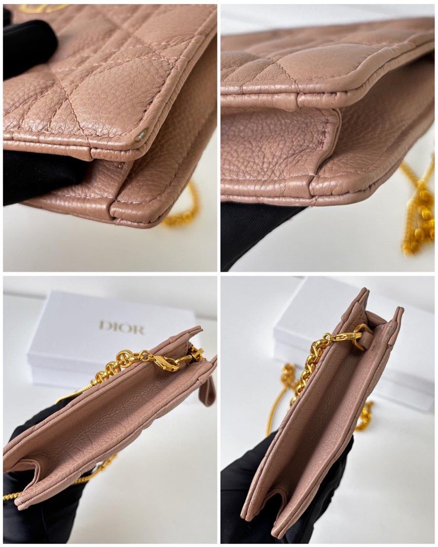 Dior Caro Pouch / WOC