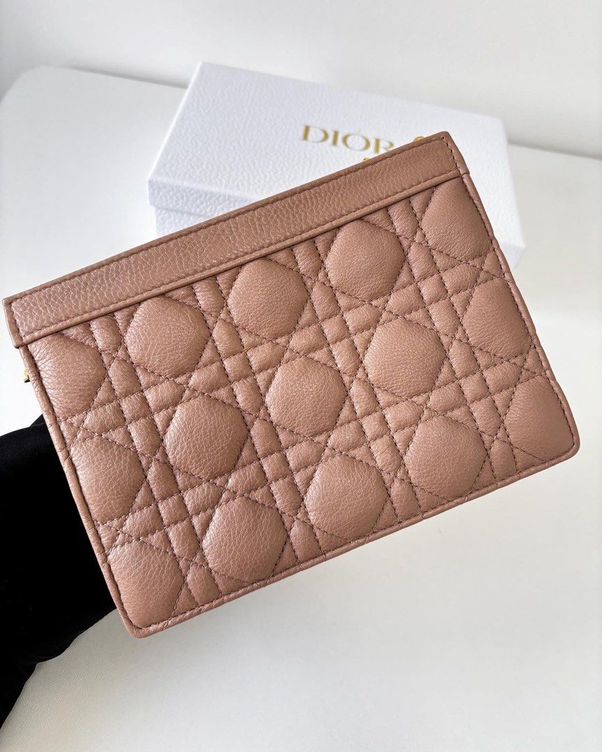 Dior Caro Pouch / WOC